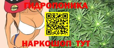 Альфа ПВП Абинск