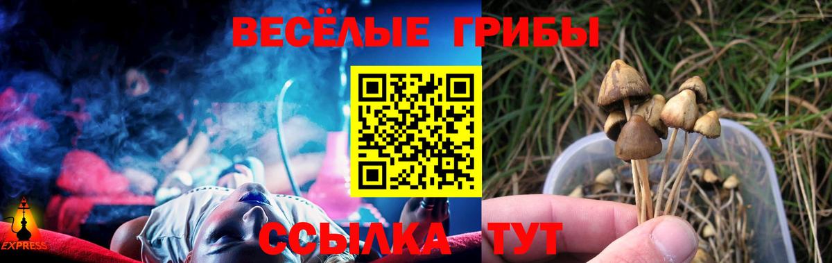 Псилоцибиновые грибы Magic Shrooms Алейск